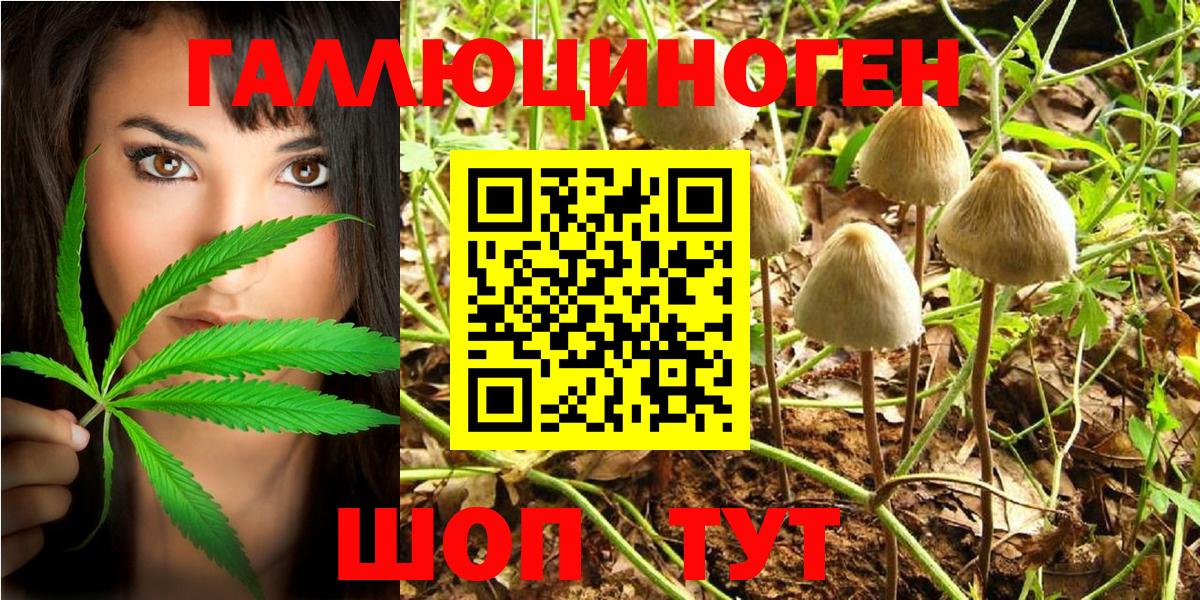 Галлюциногенные грибы Psilocybe  Галлюциногенные грибы мухоморы  Вход с VPN  Костомукша 
