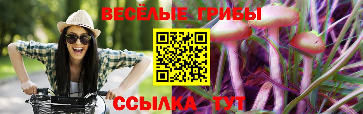 Галлюциногенные грибы Psilocybine cubensis Костомукша